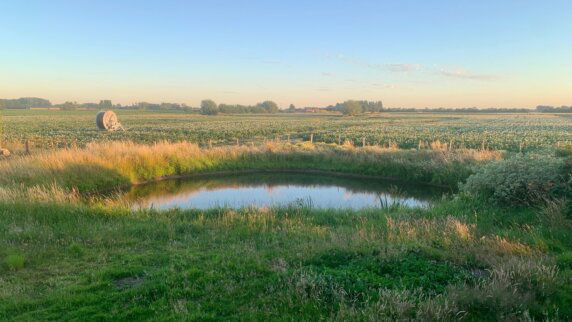 Natuurcamping in Reninge - photo 18