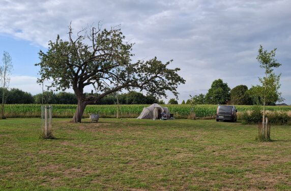 Natuurcamping in Reninge - photo 12