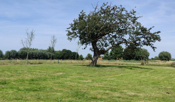 Natuurcamping in Reninge - photo 3
