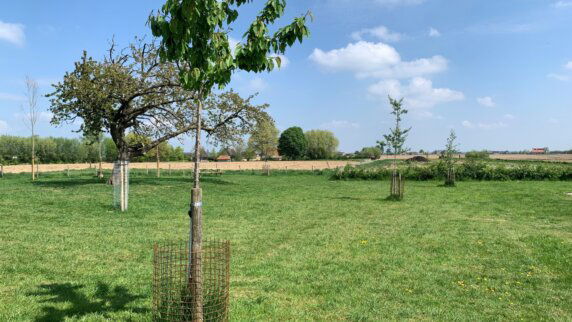 Natuurcamping in Reninge - photo 11