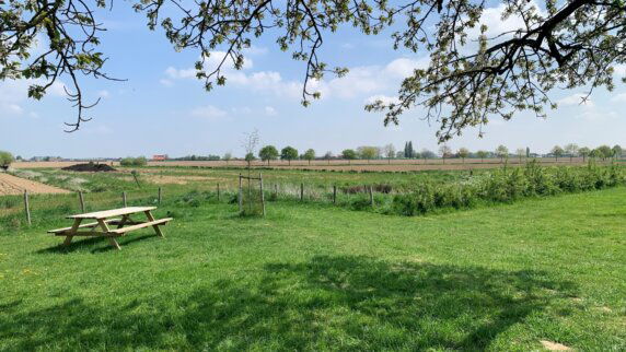 Natuurcamping in Reninge - photo 5
