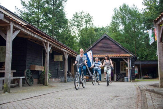 Vakantiepark De Wiltzangh - photo 15