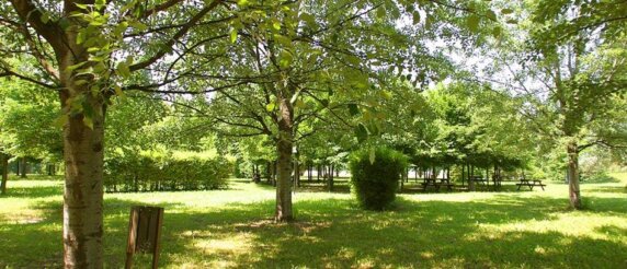 Club Del Sole Bologna Easy Camping Village - photo 10