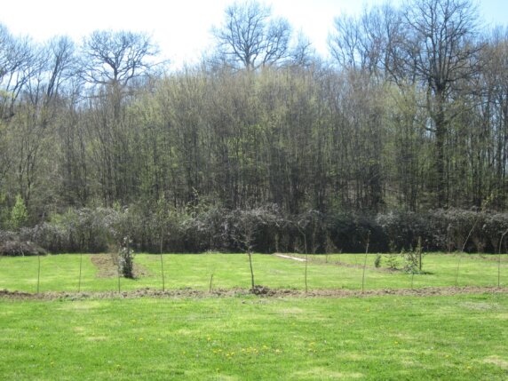 Camping L&rsquo;Oseraie les Philiberts - photo 3