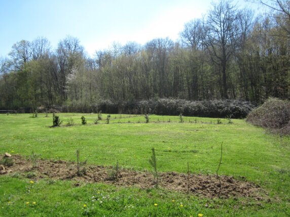 Camping L&rsquo;Oseraie les Philiberts - photo 10