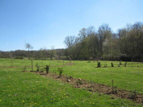 Camping L’Oseraie les Philiberts - photo 2