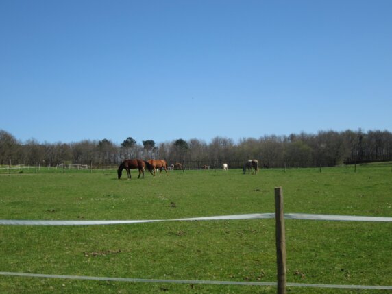 Camping L&rsquo;Oseraie les Philiberts - photo 7