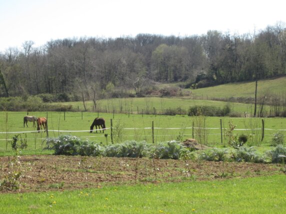 Camping L&rsquo;Oseraie les Philiberts - photo 9