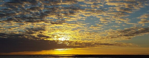 Camping Le Petit Dauphin - photo 10