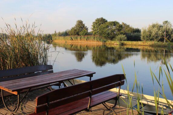 Aemestellehoeve - photo 9