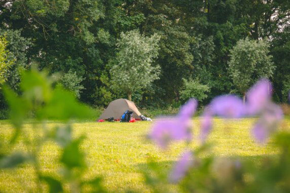 Aemestellehoeve - photo 3