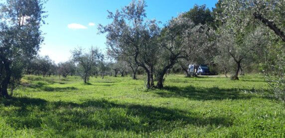 Agricampeggio Borgo Agna - photo 1