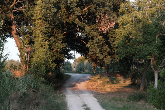 Agriturismo Camping Vista Fermo - photo 11