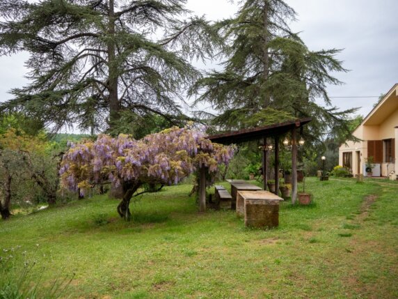 Agricamping Tuscany Time - photo 4