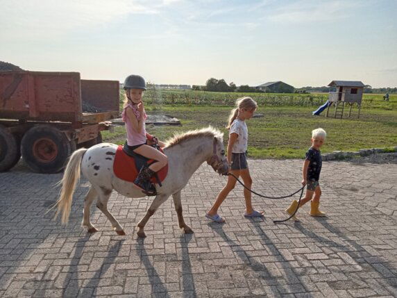 Camping Boerderij de Schans - photo 6
