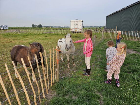Camping Boerderij de Schans - photo 11