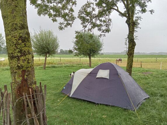 Camping Boerderij de Schans - photo 3