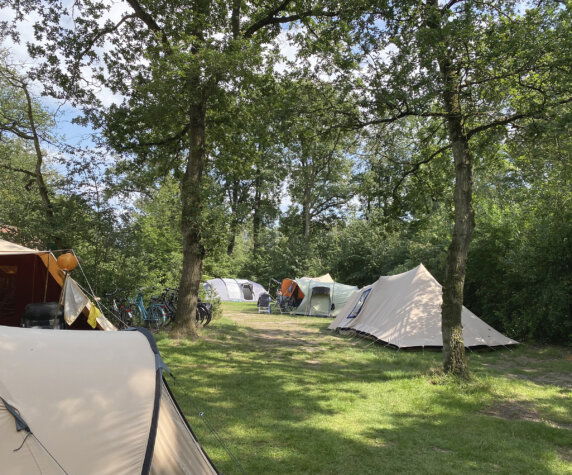 Camping De Meene - photo 3