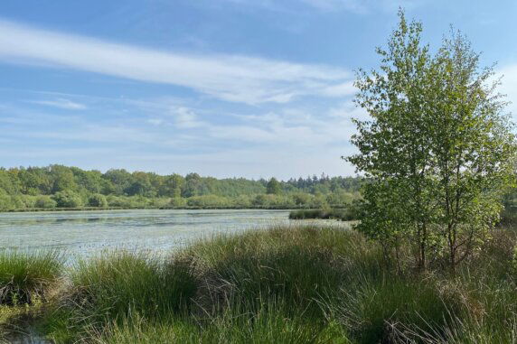 Camping De Meene - photo 12