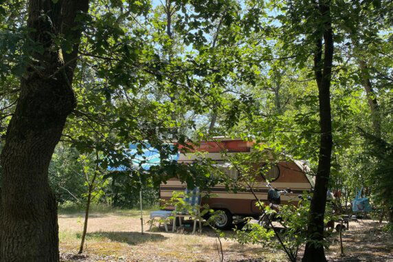 Camping De Meene - photo 10