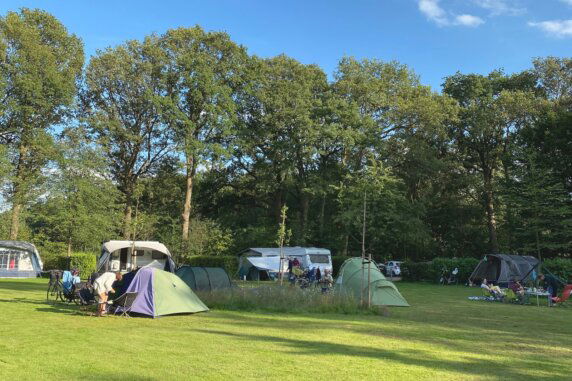 Camping De Meene - photo 14