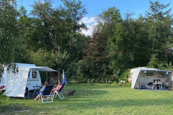 Camping De Meene - photo 15