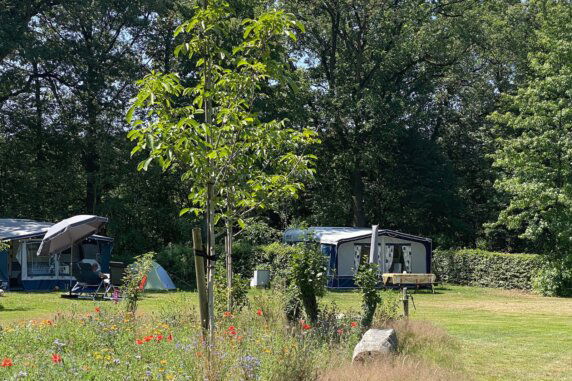 Camping De Meene - photo 7