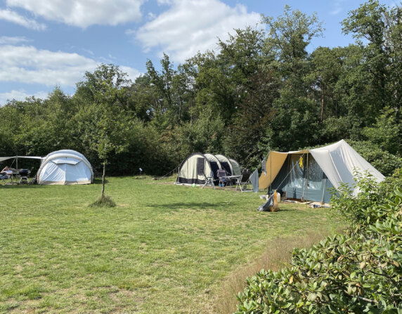 Camping De Meene - photo 4