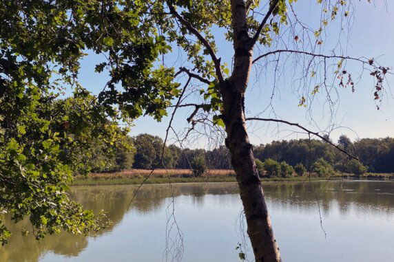 Camping De Meene - photo 18