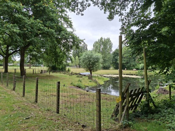 Camping Het Groene Hart - photo 5