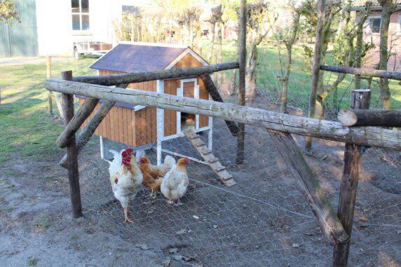 Camping &#8217;t Smitske - photo 4