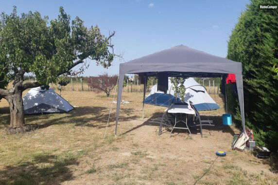 Campspace in Arles - photo 4