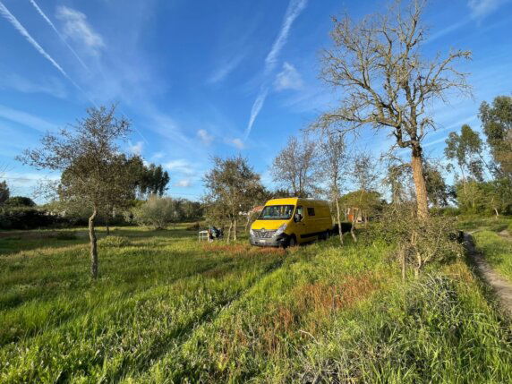 Flor do Brejo - photo 2