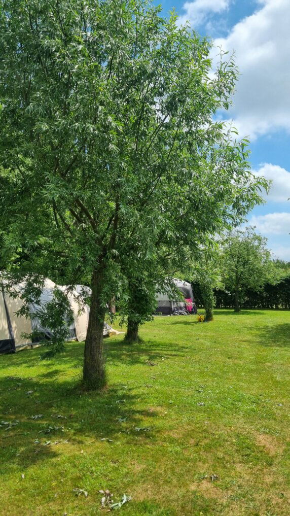Hof van Autriche - photo 15