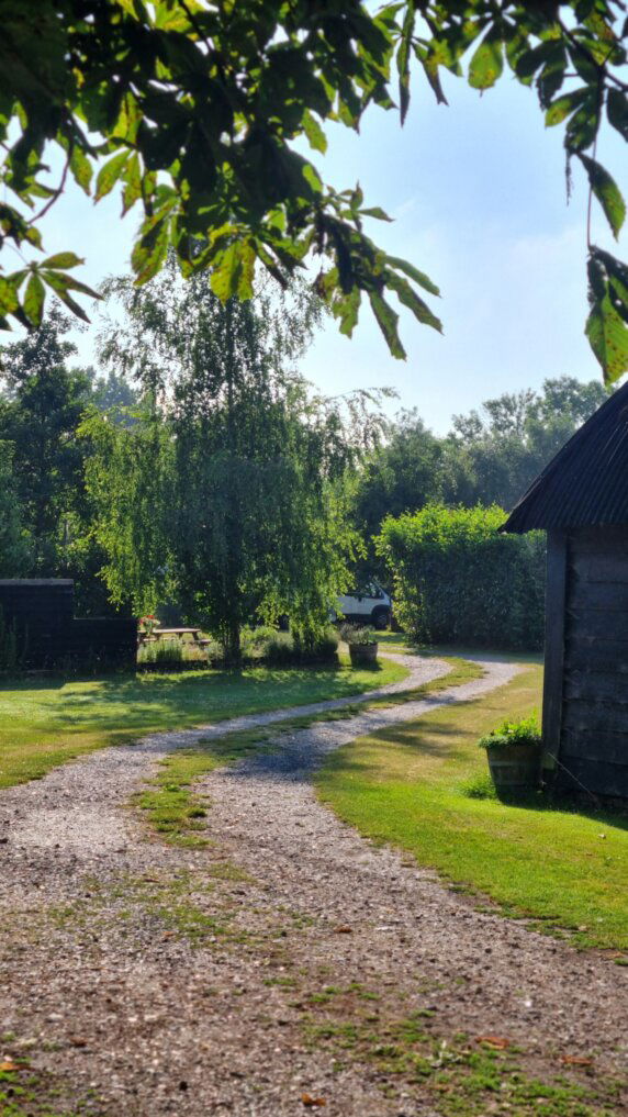 Hof van Autriche - photo 7