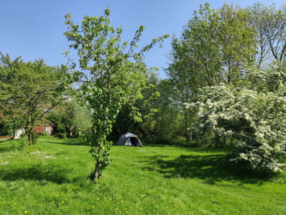 KitchenCamping - photo 1