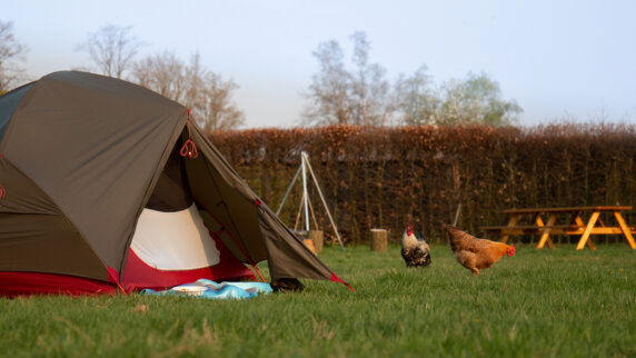 Minicamping in Boxtel - photo 4