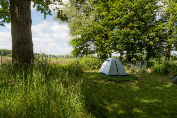Natuurcamping in Boxtel - photo 1