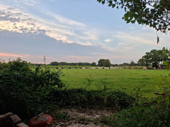 Natuurcamping in Boxtel - photo 2
