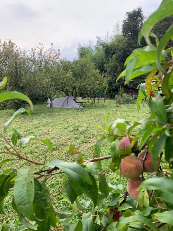 Happy Valley - photo 5