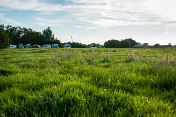 Natuurcamping in Leiderdorp - photo 7