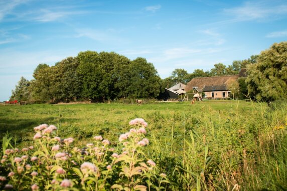 Natuurcamping in Leiderdorp - photo 14