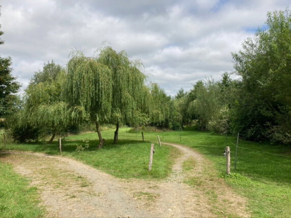 Natuurcamping in Les Cresnays - photo 10