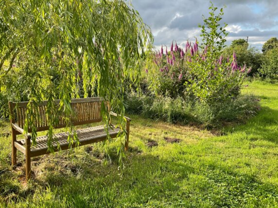 Natuurcamping in Les Cresnays - photo 9