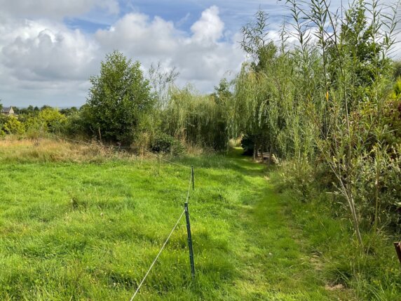 Natuurcamping in Les Cresnays - photo 8