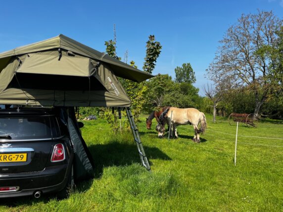 Natuurcamping in Les Cresnays - photo 4