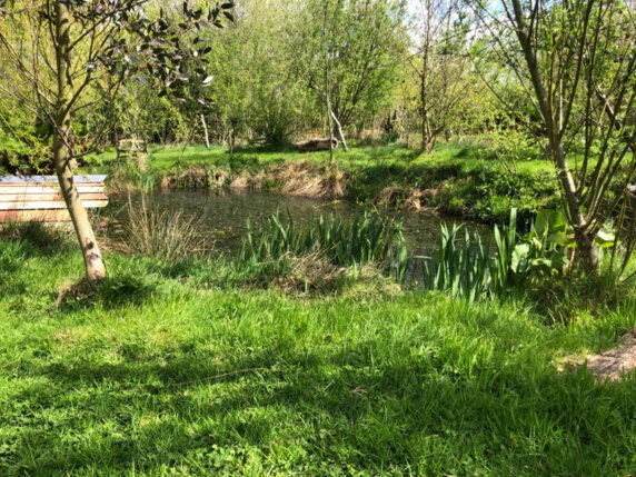 Natuurcamping in Les Cresnays - photo 7