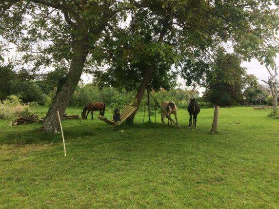 Natuurcamping in Les Cresnays - photo 17