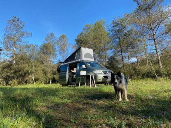 Natuurcamping in Llado - photo 2