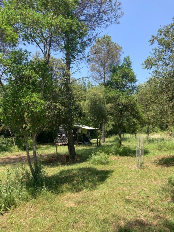 Natuurcamping in Llado - photo 13